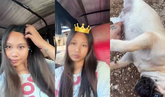 itsmeyourchai Bigo Live — Oct 26, 2026, 9:40 PM