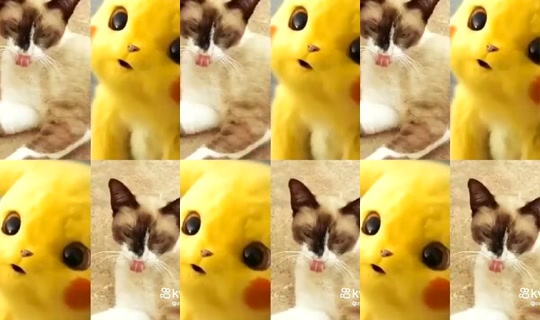 jujuloliff Bigo Live — Sep 16, 2026, 1:50 PM
