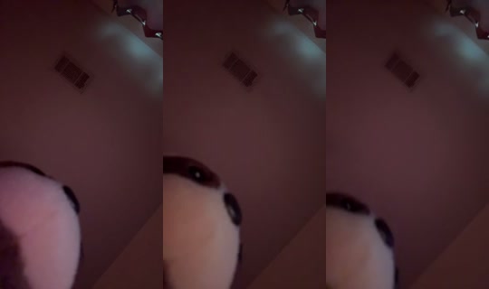 kandice2024 Bigo Live — Jul 31, 2026, 2:36 PM