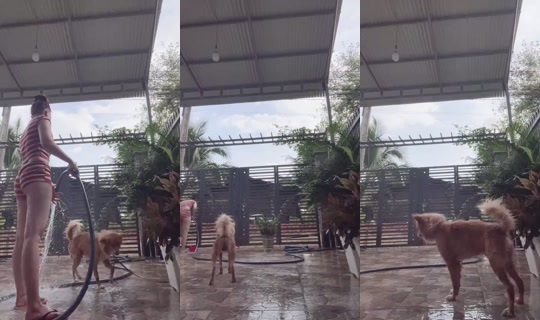 keochuale03 Bigo Live — Sep 30, 2026, 8:51 AM