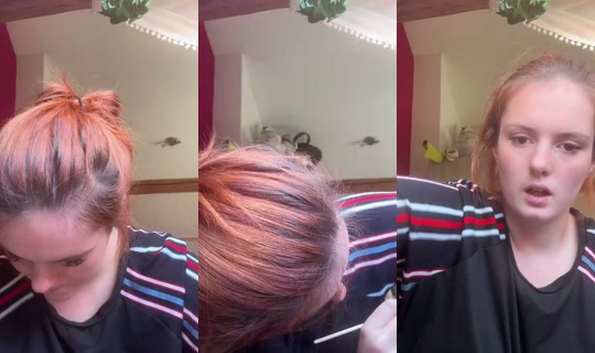 kim1233. Bigo Live — Oct 9, 2026, 11:20 AM