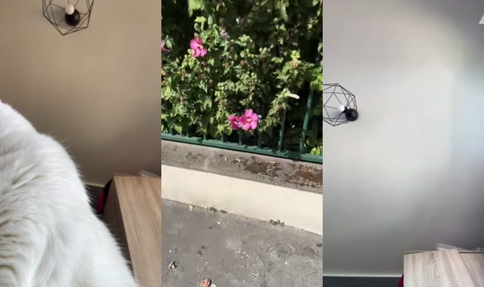 lolaparis Bigo Live — Sep 19, 2026, 10:22 AM