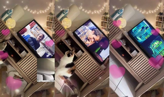 lolaparis Bigo Live — Oct 19, 2026, 12:39 PM
