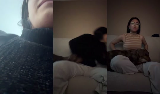 maimai3 Bigo Live — Sep 4, 2026, 9:09 PM