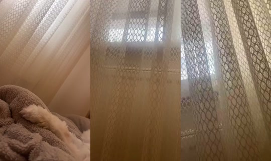 mmirass Bigo Live — Sep 17, 2026, 6:55 AM