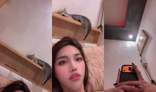 nessa8 Bigo Live — Sep 28, 2026, 11:49 PM