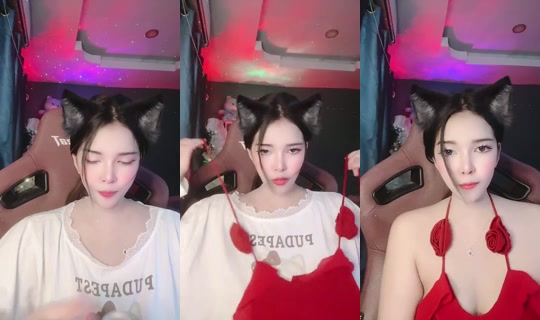 nn26457 Bigo Live — Oct 29, 2026, 8:33 AM