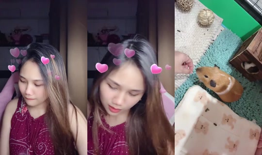 nr.aqila_ Bigo Live — Oct 8, 2026, 1:16 PM