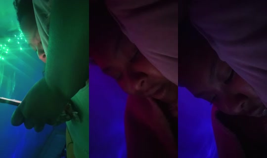 pisceaura Bigo Live — Oct 28, 2026, 4:03 AM