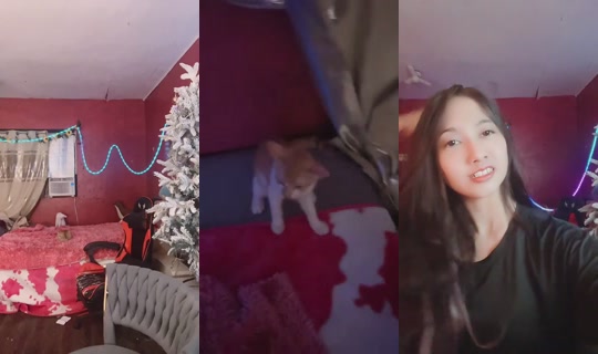 sanaallbaby03 Bigo Live — Oct 3, 2026, 4:58 PM