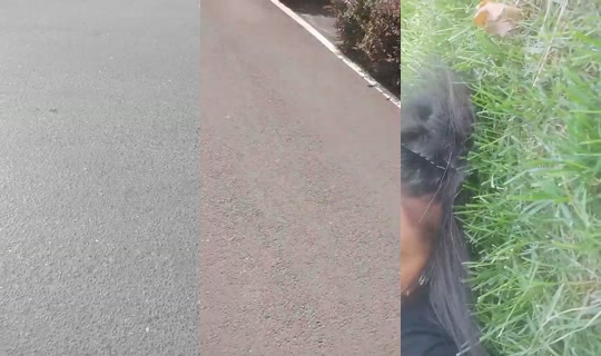 sevsev34 Bigo Live — Sep 4, 2026, 11:59 AM