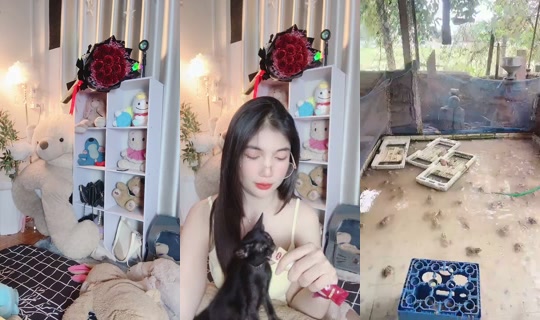 sindy596134 Bigo Live — Sep 14, 2026, 5:12 AM