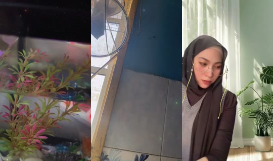 sipipimerah_ Bigo Live — Sep 29, 2026, 7:56 AM