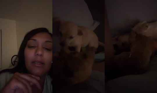 societyofsky Bigo Live — Oct 7, 2026, 9:33 AM