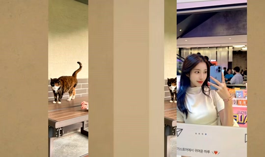 sunny0519 Bigo Live — Sep 19, 2026, 9:41 PM