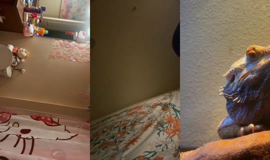 tinymoon333 Bigo Live — Oct 15, 2026, 11:04 AM