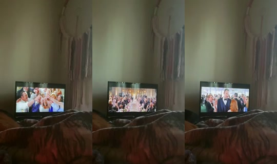 tinymoon333 Bigo Live — Oct 15, 2026, 2:39 PM