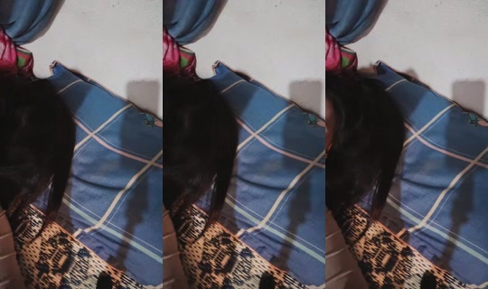 vol.abmiav332 Bigo Live — Sep 17, 2026, 10:31 AM
