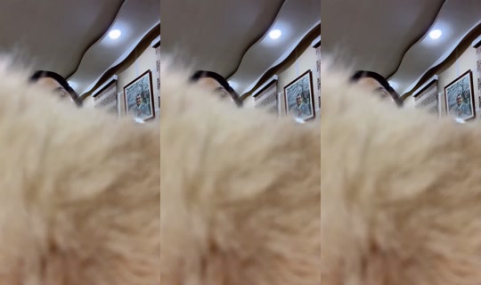 yulka87 Bigo Live — Oct 19, 2026, 2:42 PM