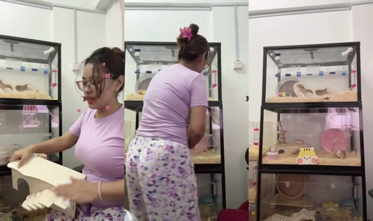 zaravictor_ Bigo Live — Aug 18, 2026, 12:29 AM